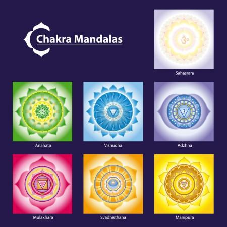 Vector Chakra Symbol Mandalas for Meditation to Facilitate Grow