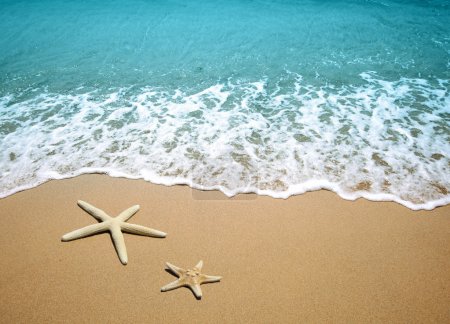 Starfish on a beach sand