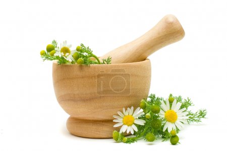 Medicine Camomile flowers - Herbal Treatment
