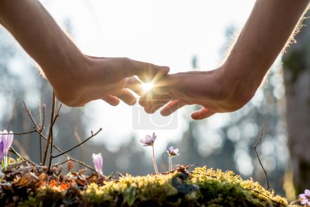 Hand Covering Flowers at the Garden with Sunlight