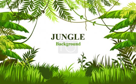 summer background with jungle