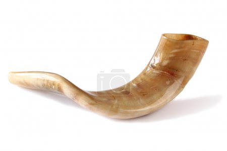 shofar (horn) isolated on white.  rosh hashanah (jewish holiday) concept . traditional holiday symbol.