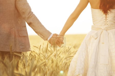 Wedding couple holding hands in field of rye