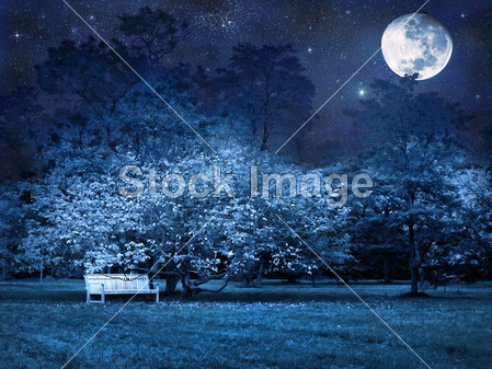 Full moon night in park