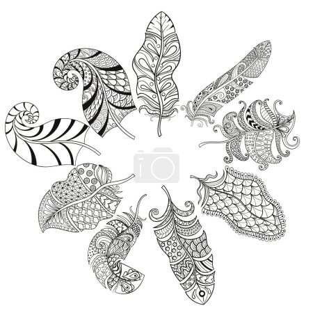Zentangle stylized various feathers for coloring page. Hand draw