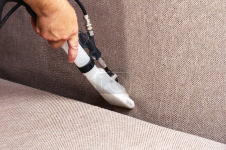 Professional cleaning sofas
