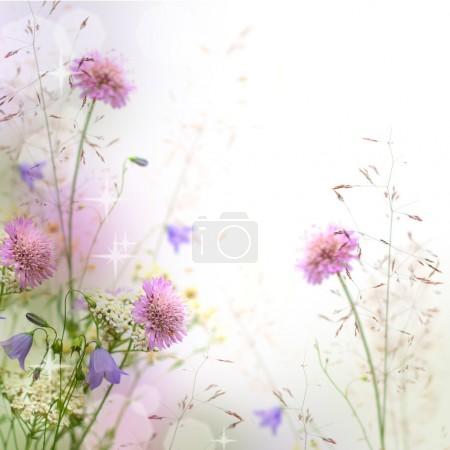 Beautiful pastel floral border beautiful blurred background (sha