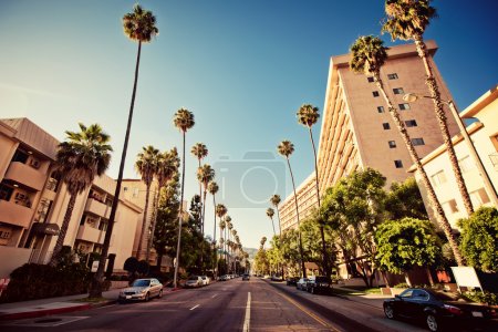 Palm streets of Beverly Hills