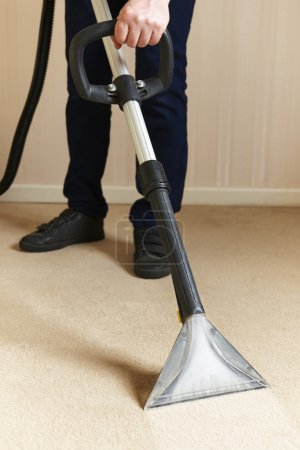 Professionally Cleaning Carpets 