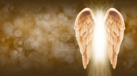 Golden Angel Wings on golden brown bokeh banner
