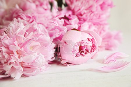 Pink peony flowers on wood surface